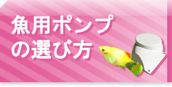 失敗しない金魚・熱帯魚用エアーポンプ選び