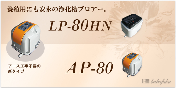 エアーポンプ 安永AP-80F 詳細図