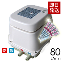 日東工器(クボタ)LAG-80E(右)/塩素剤付き